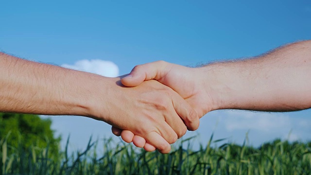 两个男性农民握手。以绿色的田野和蓝色的天空为背景。处理农业综合企业的概念视频下载