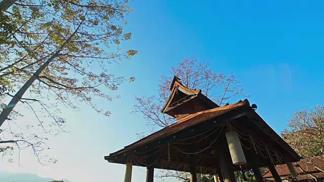 泰国馆北面的花园以蓝天为背景。视频下载
