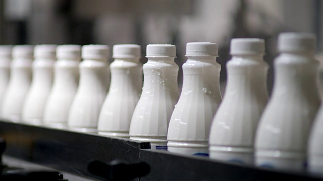 白色塑料奶瓶的镜头在生产线上分类和前进在牛奶公司视频下载