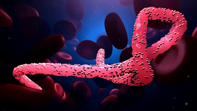 埃博拉病毒和血细胞视频素材