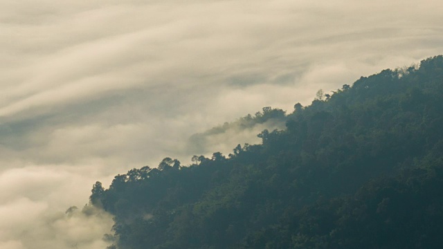 神秘的雾在山上的森林上空移动，时间流逝视频下载