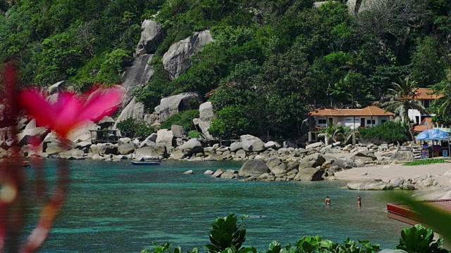 热带海滩。游客们在碧蓝的海水中浮潜。Koh道、泰国视频下载