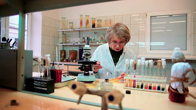 这位50岁的迷人而严肃的女性，科学家，在大学微生物实验室从事显微镜和细菌培养工作视频下载