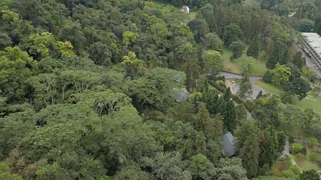 缆车上的森林景色视频下载