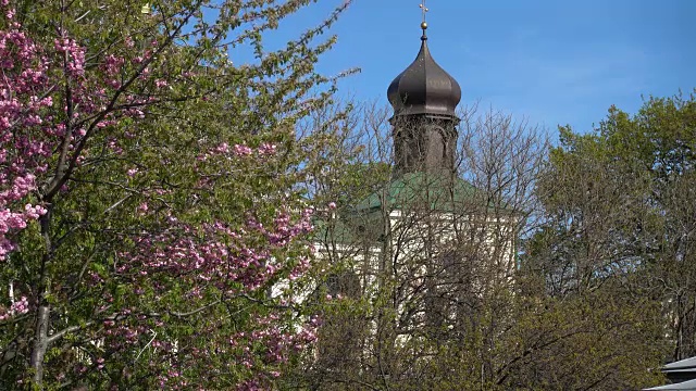 在复活节的东正教堂背景下开花的树视频下载
