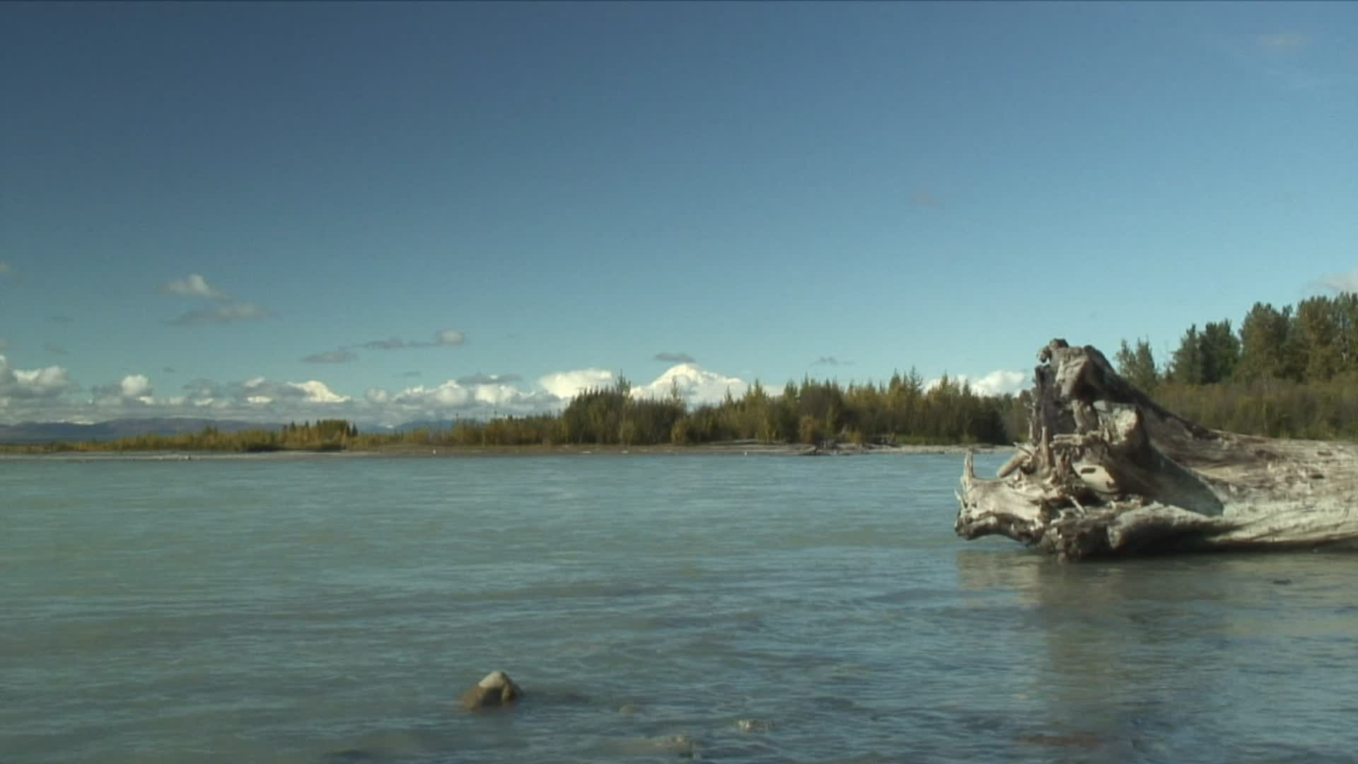 WS ZI CU河与麦金利山在远处/ Talkeetna，阿拉斯加，美国视频下载