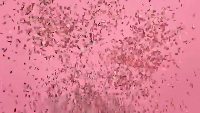 有趣的粉彩或玫瑰金五彩纸屑爆炸并落下来。绿色屏幕的动画片段。视频素材