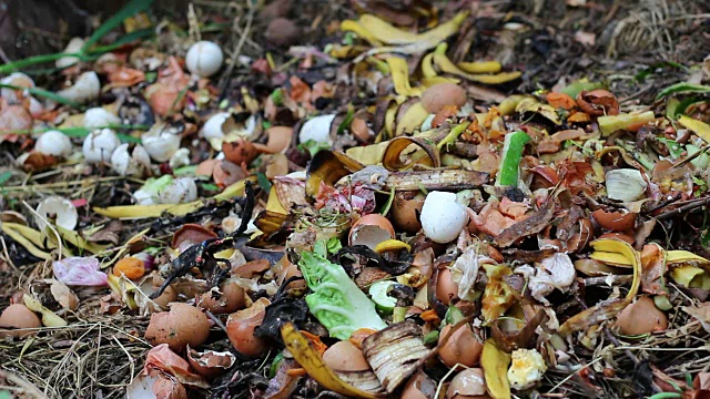 绿色废弃物(树叶、食物废弃物)视频素材