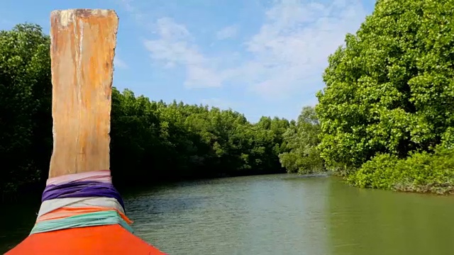 从小船上漂浮在河上的红树林里视频下载