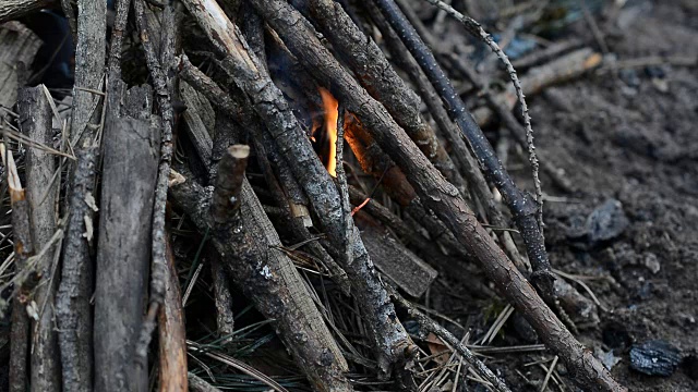 夏日森林里篝火旁的男性徒步旅行者视频下载