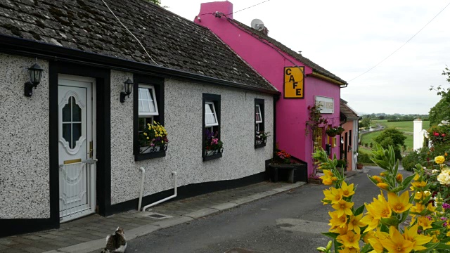 爱尔兰卡舍尔白色和粉红色的村舍与黄色的花视频素材