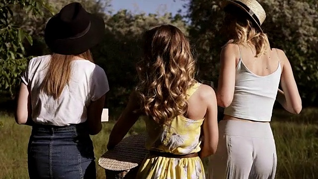 追踪三名穿着花哨服装的美女走过草地或森林的镜头。阳光明媚的一天。在户外野餐视频素材