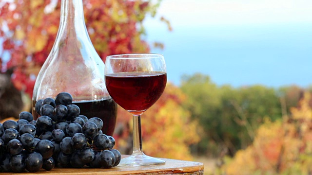 一杯红酒和葡萄。沿岸的葡萄园视频购买
