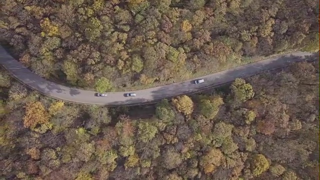 顶部鸟瞰图的乡村道路在阳光明媚的秋天森林。没有日志格式视频素材