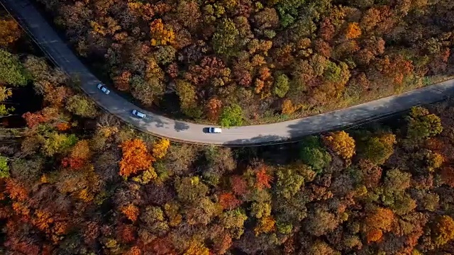 顶部鸟瞰图的乡村道路在阳光明媚的秋天森林视频素材
