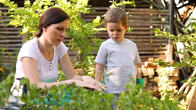 母亲和儿子在菜园里干活视频下载