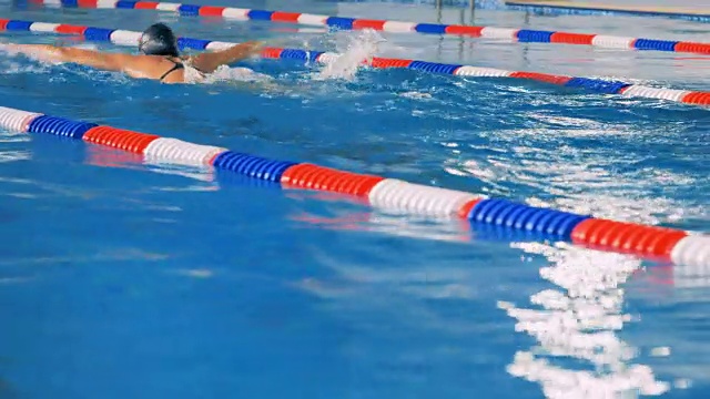 运动员独自在游泳池游泳。4 k。视频下载