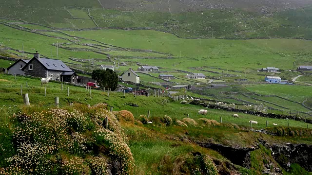 爱尔兰丁格尔半岛农场建筑视频下载