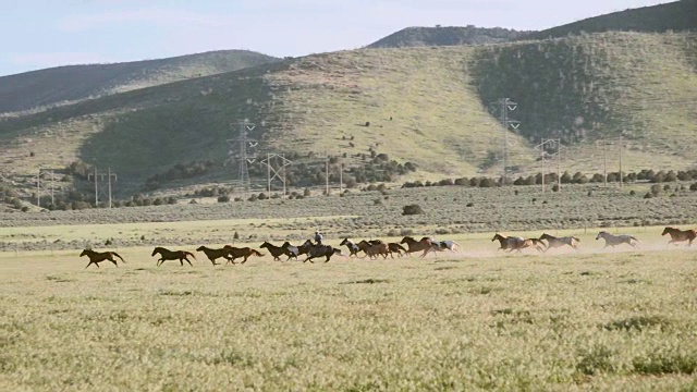 慢镜头美国犹他州的马和牛仔视频素材