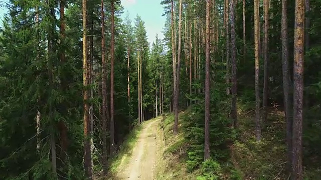 山林中的道路、小径、小径视频素材