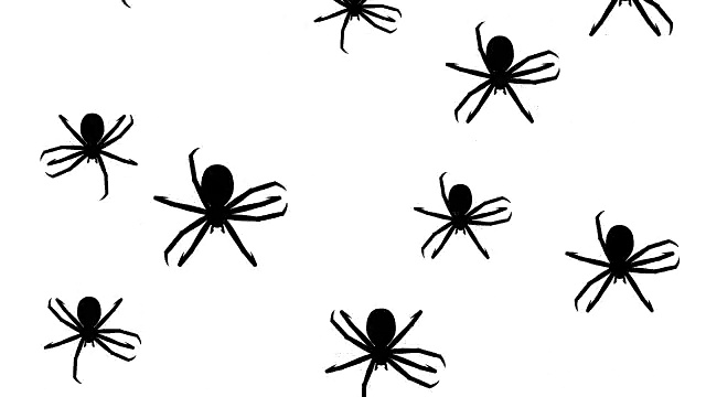蜘蛛跑视频素材