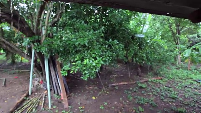潘:雨落在巴厘岛登巴萨的一个村庄视频素材