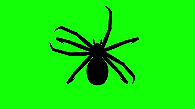 固定蜘蛛在绿色屏幕上，CG动画剪影，循环视频下载
