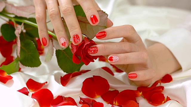 女性的手指抚摸着玫瑰的花蕾。视频下载