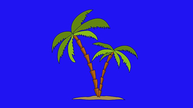 手绘棕榈树动画视频下载