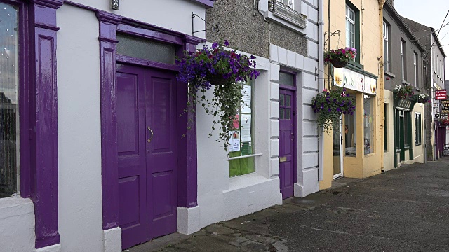 在街道上紫色的门旁边的爱尔兰花视频素材