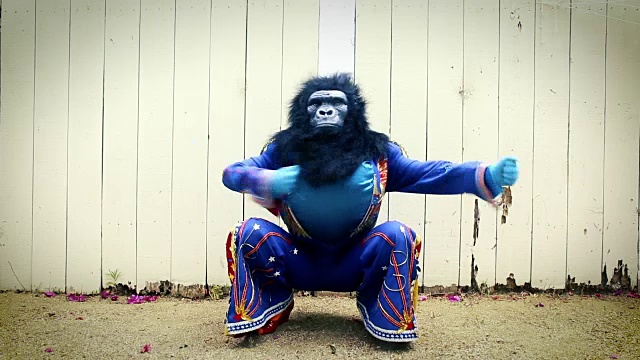 猫王模仿者在大猩猩面具重击胸部视频素材