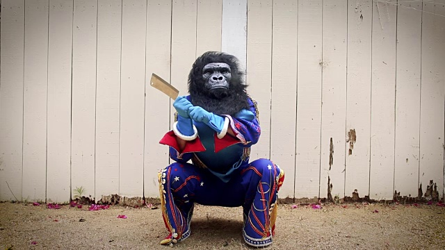 披着大猩猩面具的猫王模仿者用刀刮香蕉视频素材