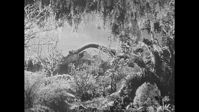 1925年，定格异特龙穿过丛林，吃着树叶视频下载