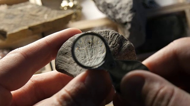 古代海洋生物研究史前时期化石的古生物学家视频下载