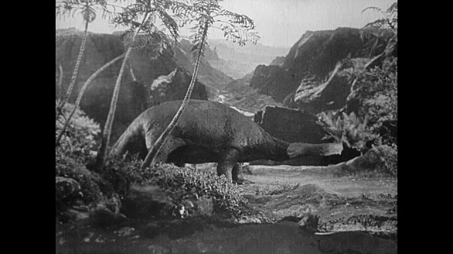 1925年，隐蔽的探险家看着长颈恐龙吃树叶视频素材