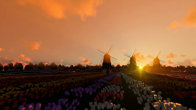 荷兰风车和骑自行车的人在郁金香和美丽的日落，4K视频素材