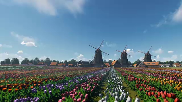 荷兰风车和田野的郁金香映衬着美丽的天空，无人机飞行4K视频素材