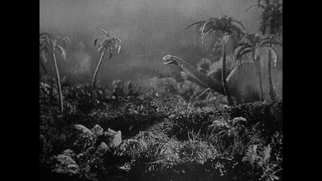 1925年，在丛林大火中，人类被困在逃跑的恐龙之中视频素材
