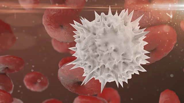 白细胞和红细胞显微镜3d渲染视频下载