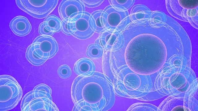 胚胎干细胞称为胚泡的早期胚胎医学研究3D渲染视频素材