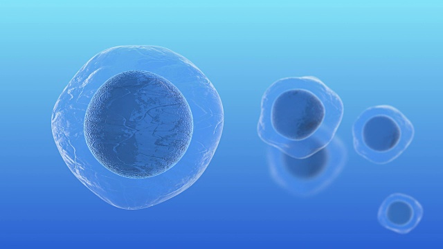 人类胚胎干细胞分子生物化学研究技术3D渲染视频下载