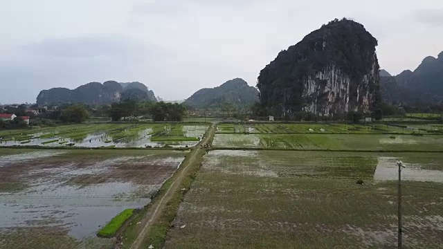 越南空中的稻田视频素材