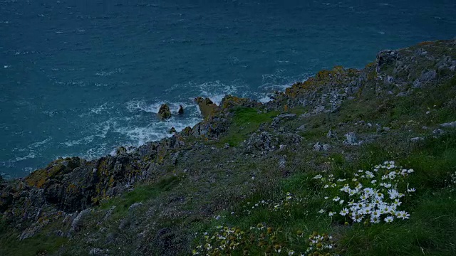 傍晚被风吹过的长满草的悬崖视频下载