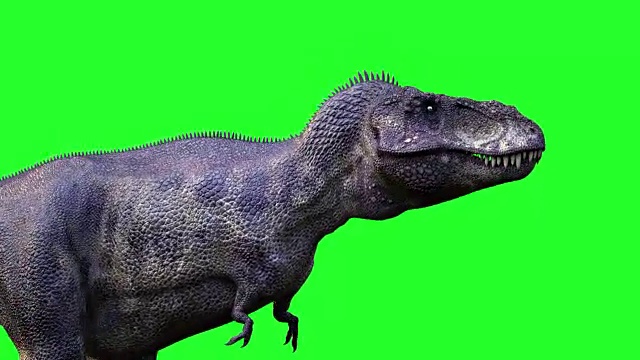 动画奔跑的恐龙雷克斯暴龙3d渲染在绿色的背景视频下载