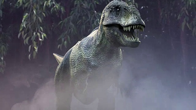 动画中奔跑的恐龙霸王龙3d渲染在丛林视频下载