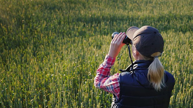 一个女人用双筒望远镜看。站在无尽的绿色田野里。后视视频下载