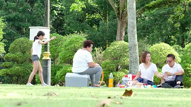 一家人在公园野餐视频素材