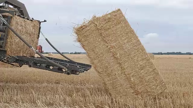 拖拉机收集干草并压成捆视频素材