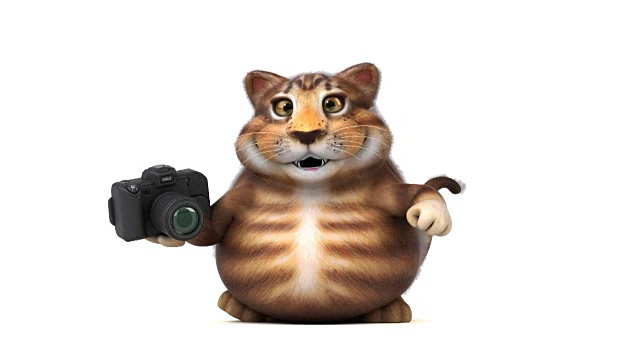 有趣的猫- 3D动画视频下载