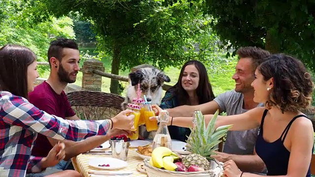 一群朋友在乡下一起喝果汁视频下载
